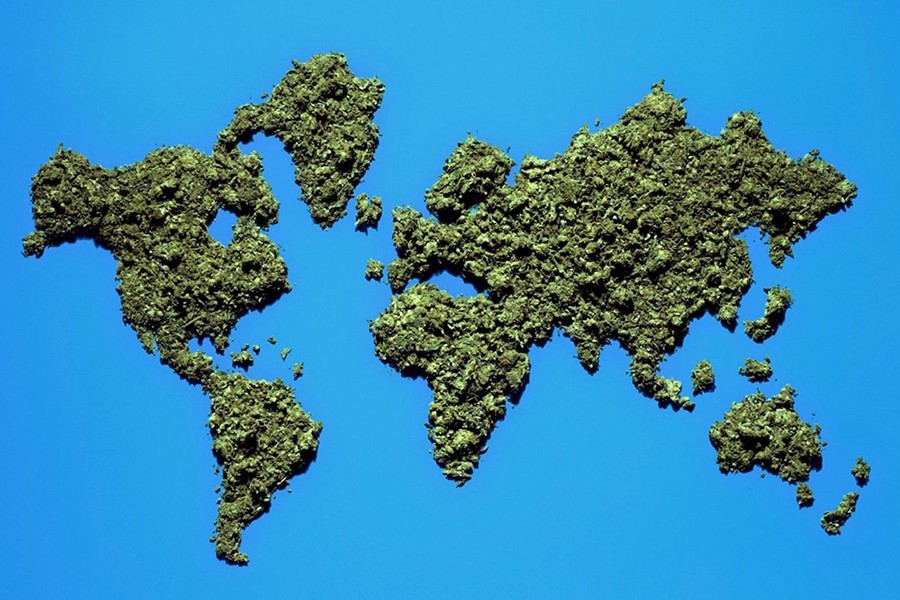 Cómo anda la legislación del cannabis en algunos lugares del mundo