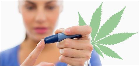 Los efectos del cannabis en la diabetes