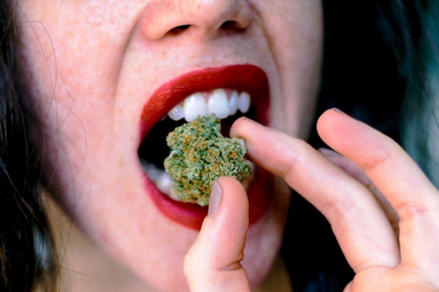 La dieta de la marihuana: pequeños secretos para comer menos